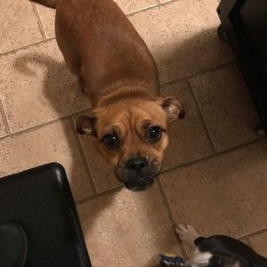 Meet your Posher, Katriana